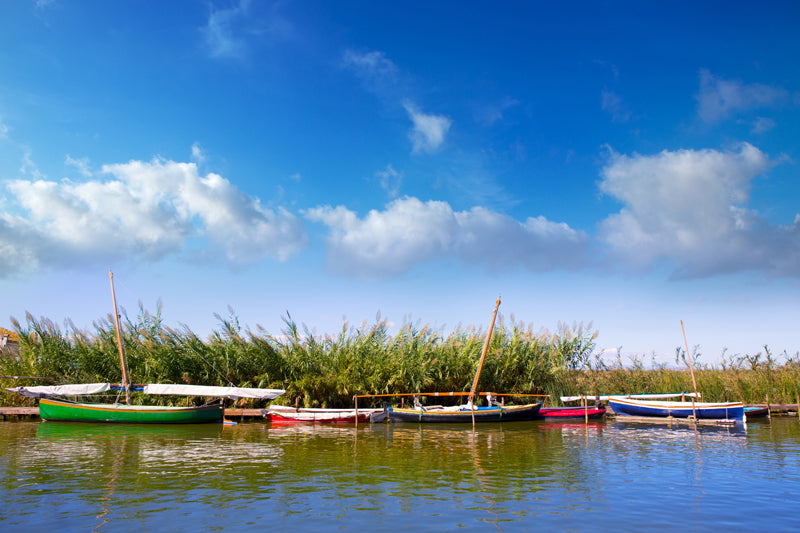 Lieblingsziel für Paella-Fans: La Albufera
