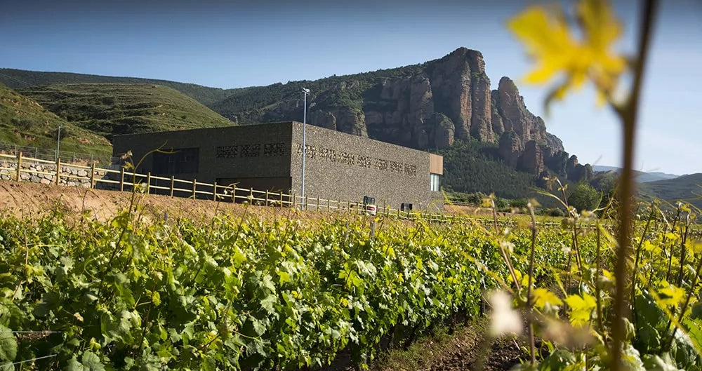 Bodegas Nivarius - Solo blanco, solo Rioja
