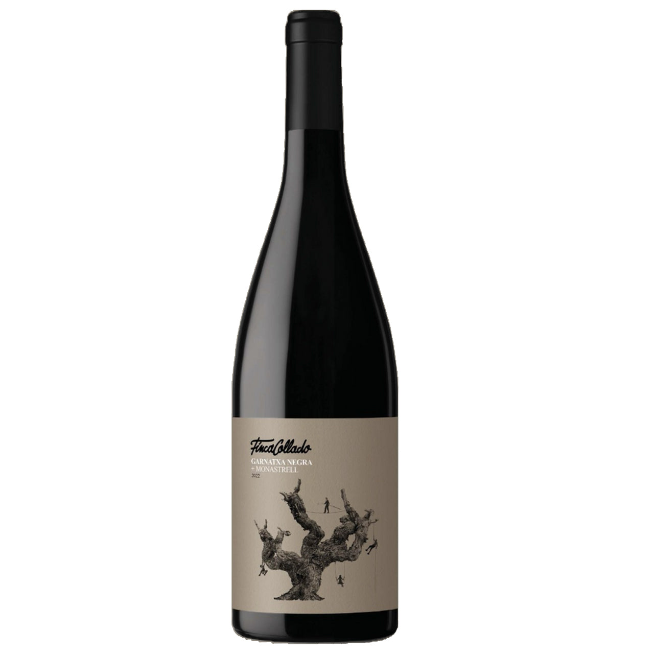 FINCA COLLADO Tinto | Garnatxa Negra und Monastrell | D.O.P. Alicante