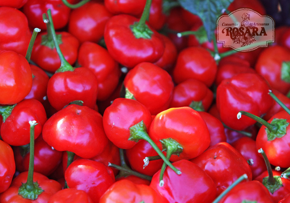 Pimiento cherry Queso - Mini-Paprika gefüllt mit Käse und Mandeln