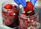 Pimiento cherry Bonito del Norte - Mini-Paprika gefüllt mit Thunfisch