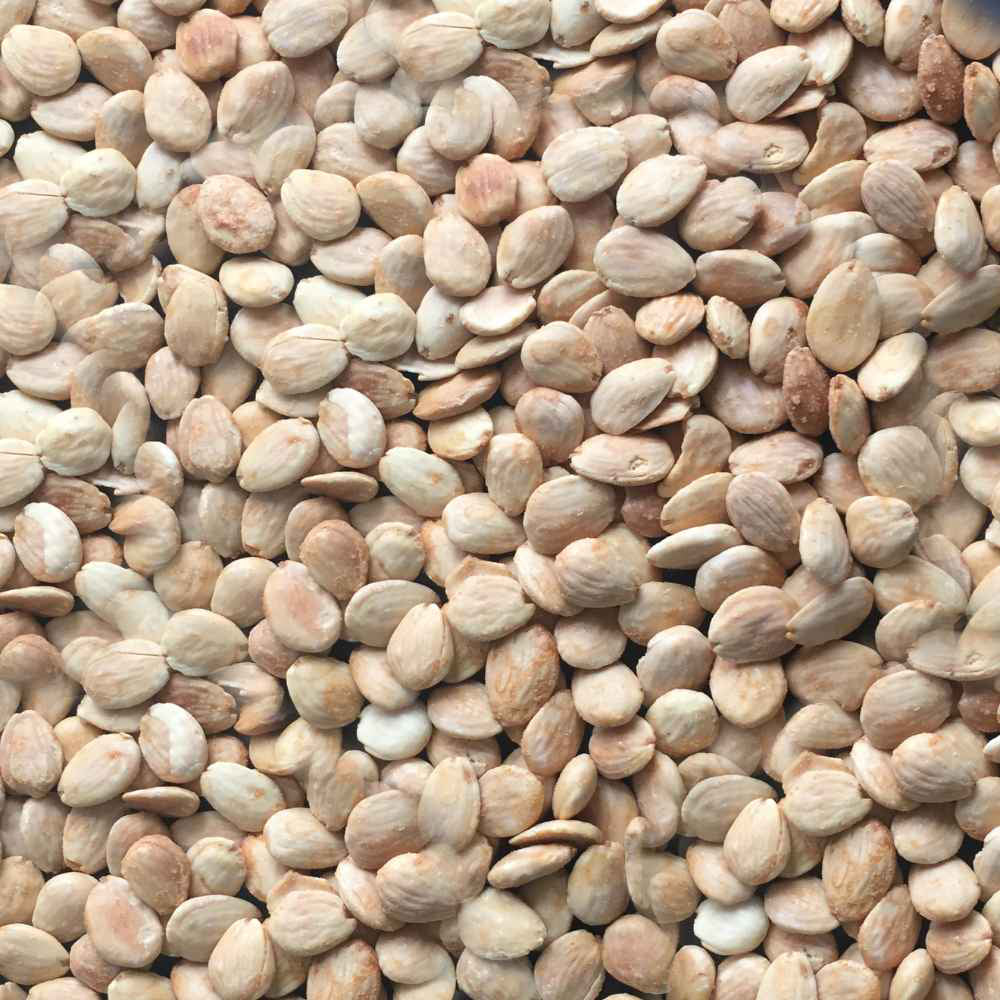 Marcona-Mandeln Natural - Im Ofen geröstet