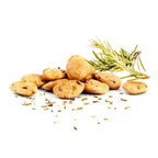 Mandeln aus Spanien - Mit Rosmarin und nativem Olivenöl Extra